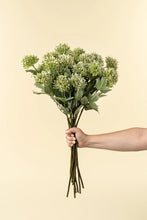 Load image into Gallery viewer, Sedum Spray, Green