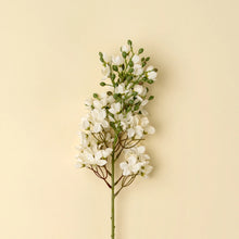 Load image into Gallery viewer, Delphinium Floral Stem, White