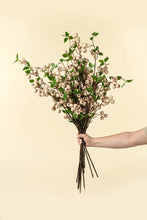 Load image into Gallery viewer, Wild Apple Berry Spray