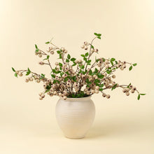 Load image into Gallery viewer, Wild Apple Berry Spray