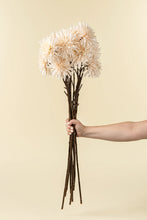Load image into Gallery viewer, Dahlia Real Touch Stem, Cream