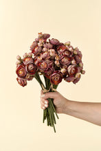Load image into Gallery viewer, Ranunculus Bouquet, Deep Pink