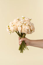 Load image into Gallery viewer, Ranunculus Bouquet, Cream