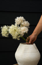 Load image into Gallery viewer, Allium Floral Spray, Champagne