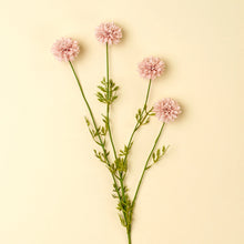 Load image into Gallery viewer, Mini Chrysanthemum, Pink