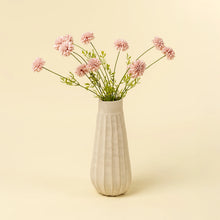 Load image into Gallery viewer, Mini Chrysanthemum, Pink