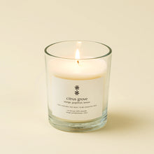 Load image into Gallery viewer, Citrus Grove Soy Candle
