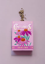 Load image into Gallery viewer, Purple Coneflowers (Healing) - Floriography Seed Packet
