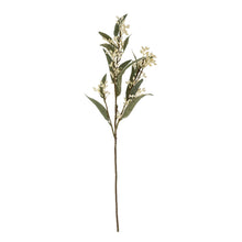 Load image into Gallery viewer, Flowering Eucalyptus Branch