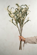 Load image into Gallery viewer, Flowering Eucalyptus Branch