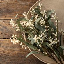 Load image into Gallery viewer, Flowering Eucalyptus Branch