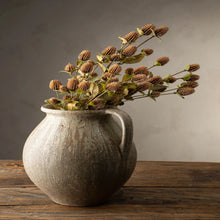 Load image into Gallery viewer, Globe Amaranth Spray