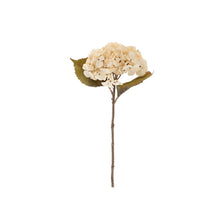 Load image into Gallery viewer, White Hydrangea Stem