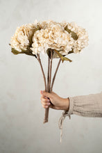 Load image into Gallery viewer, White Hydrangea Stem