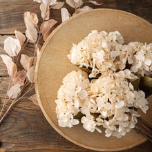 Load image into Gallery viewer, White Hydrangea Stem