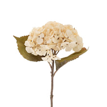 Load image into Gallery viewer, White Hydrangea Stem