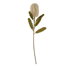 Load image into Gallery viewer, Banksia Floral Stem, Cream