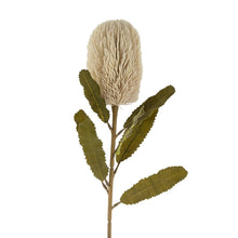 Load image into Gallery viewer, Banksia Floral Stem, Cream