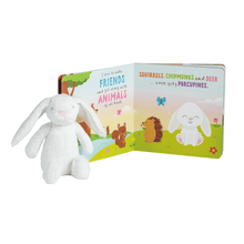 Load image into Gallery viewer, Sunny the Bunny + Book