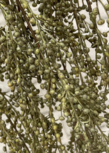 Load image into Gallery viewer, Green Pepper Berries Bush