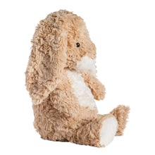 Load image into Gallery viewer, Hugo Bunny, 11"