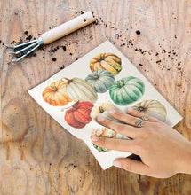 Load image into Gallery viewer, Colourful Pumpkins Dishcloth
