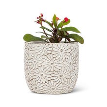Load image into Gallery viewer, White Daisy Pot, Small