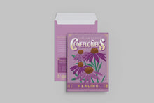 Load image into Gallery viewer, Purple Coneflowers (Healing) - Floriography Seed Packet