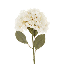 Load image into Gallery viewer, Hydrangea Floral Stem, White