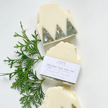 Load image into Gallery viewer, Christmas Tree Farm Soap Bar