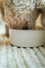 Load image into Gallery viewer, Bone White Bowl, Large