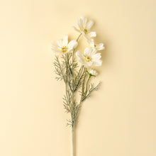 Load image into Gallery viewer, Cosmos Spray, White