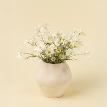 Load image into Gallery viewer, Cosmos Spray, White