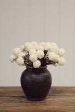 Load image into Gallery viewer, Morandi Bloom Bouquet, Cream