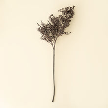 Load image into Gallery viewer, Dripping Dried Berry Spray