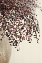 Load image into Gallery viewer, Dripping Dried Berry Spray