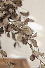 Load image into Gallery viewer, Smoked Eucalyptus Spray