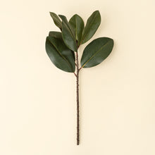 Load image into Gallery viewer, Magnolia Leaf Branch