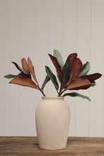 Load image into Gallery viewer, Magnolia Leaf Branch