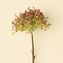 Load image into Gallery viewer, Viburnum Berry Stem, Pink