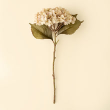 Load image into Gallery viewer, Heirloom Hydrangea Stem, White