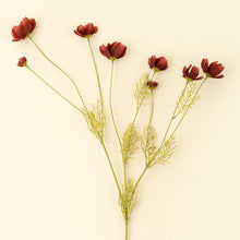 Load image into Gallery viewer, Caliopsis Spray, Rust Red