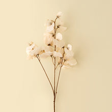 Load image into Gallery viewer, Sweet Pea Stem