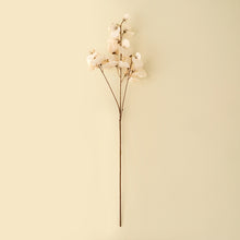 Load image into Gallery viewer, Sweet Pea Stem