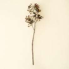 Load image into Gallery viewer, Hypericum Spray