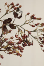 Load image into Gallery viewer, Hypericum Spray