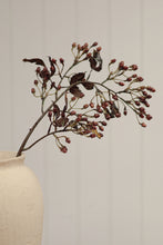 Load image into Gallery viewer, Hypericum Spray