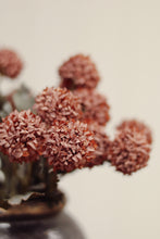 Load image into Gallery viewer, Morandi Bloom Bouquet, Mauve