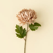 Load image into Gallery viewer, Chrysanthemum Stem, Dusty Pink