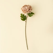Load image into Gallery viewer, Chrysanthemum Stem, Dusty Pink